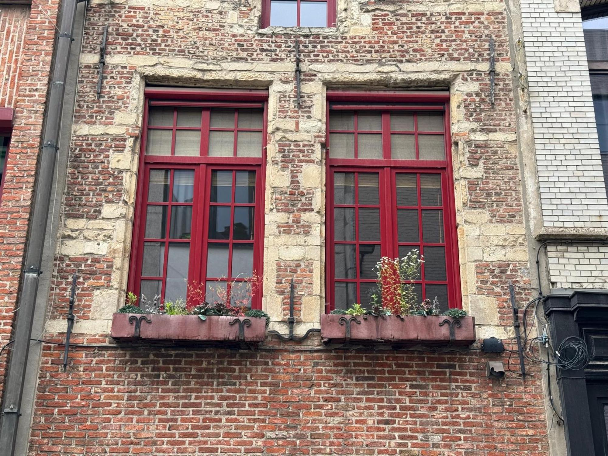 Garden Loft In City Center Meir 1Fl Antwerpen Eksteriør bilde